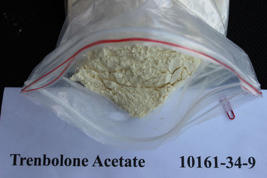 Cina Safety Injection Trenbolone Acetate / Revalor-H Steroids Powders CAS 10161-34-9 pemasok