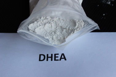 Cina Anti Aging Dehydroepiandrosterone / DHEA Baku Steroid Bubuk Bahan Baku Farmasi pemasok