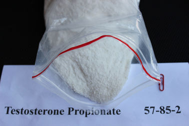 Cina Testosteron Propionate 57-85-2 Natural Legal Muscle Building Steroid Powder untuk Pria pemasok