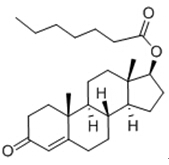Aman Pembakaran Lemak Anabolik Boldenone Steroid CAS 315-37-7 Testosteron Enanthate / Test Enan
